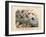 Insects, C.1860-null-Framed Giclee Print