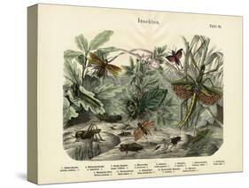 Insects, C.1860-null-Stretched Canvas