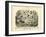 Insects, C.1860-null-Framed Giclee Print