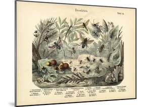 Insects, C.1860-null-Mounted Giclee Print