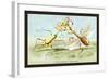 Insects: Empusa Gonaylodes and E. Lobines-James Duncan-Framed Art Print