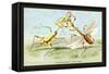 Insects: Empusa Gonaylodes and E. Lobines-James Duncan-Framed Stretched Canvas