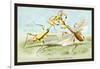 Insects: Empusa Gonaylodes and E. Lobines-James Duncan-Framed Art Print