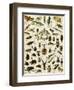 Insects, Including Beetles-null-Framed Giclee Print