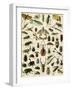 Insects, Including Beetles-null-Framed Giclee Print