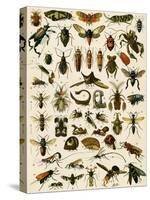 Insects, Including Flies-null-Stretched Canvas