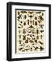 Insects, Including Flies-null-Framed Premium Giclee Print