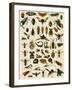 Insects, Including Flies-null-Framed Giclee Print