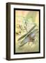 Insects: Mantis Religiosa-James Duncan-Framed Art Print