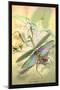 Insects: Mantis Religiosa-James Duncan-Mounted Art Print