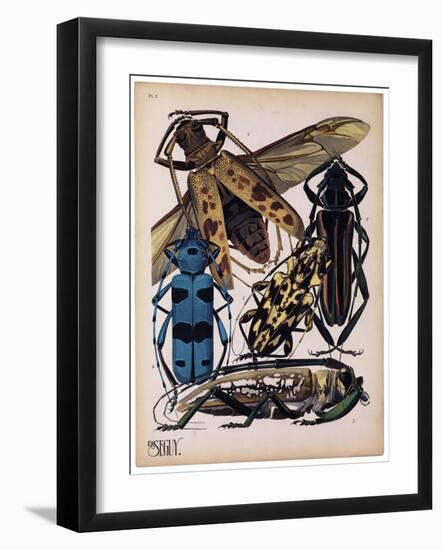 Insects, Plate 13-null-Framed Giclee Print