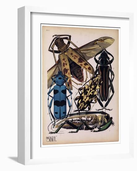 Insects, Plate 13-null-Framed Giclee Print