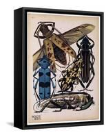 Insects, Plate 13-null-Framed Stretched Canvas