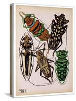 Insects, Plate 14-null-Stretched Canvas