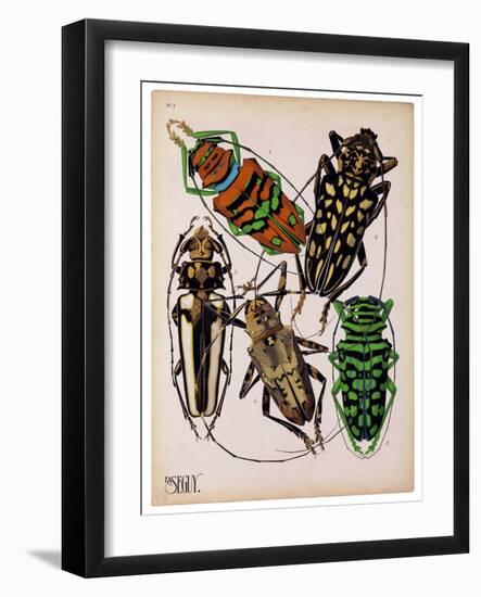 Insects, Plate 14-null-Framed Giclee Print