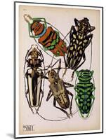 Insects, Plate 14-null-Mounted Giclee Print
