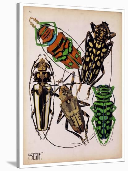 Insects, Plate 14-null-Stretched Canvas