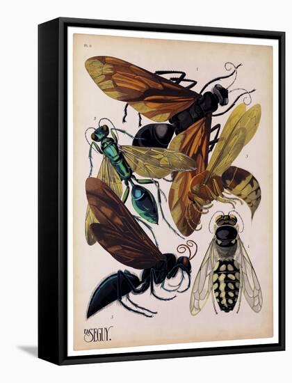 Insects, Plate 15-null-Framed Stretched Canvas