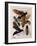 Insects, Plate 15-null-Framed Giclee Print