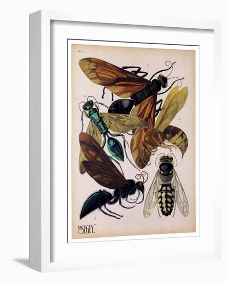 Insects, Plate 15-null-Framed Giclee Print