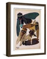 Insects, Plate 1-null-Framed Giclee Print