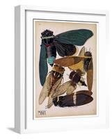Insects, Plate 1-null-Framed Giclee Print