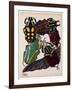 Insects, Plate 3-null-Framed Giclee Print