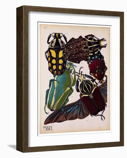 Insects, Plate 3-null-Framed Giclee Print