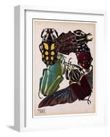 Insects, Plate 3-null-Framed Giclee Print