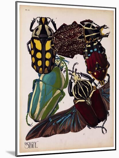 Insects, Plate 3-null-Mounted Giclee Print