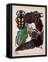 Insects, Plate 3-null-Framed Stretched Canvas