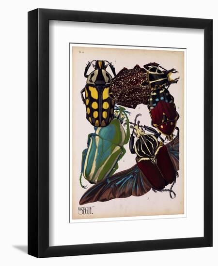 Insects, Plate 3-null-Framed Giclee Print