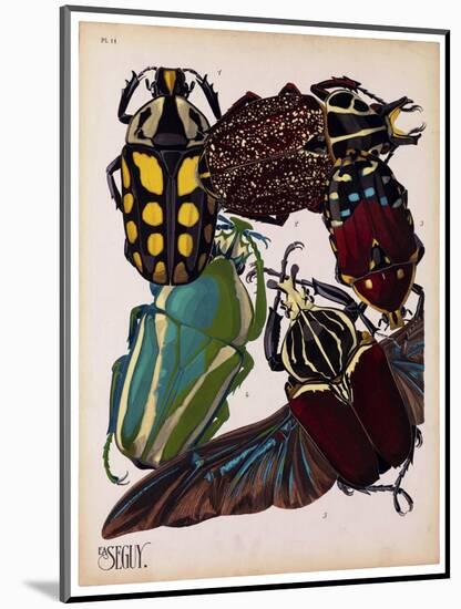 Insects, Plate 3-null-Mounted Giclee Print