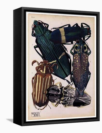 Insects, Plate 4-null-Framed Stretched Canvas
