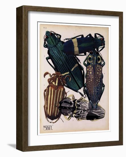 Insects, Plate 4-null-Framed Giclee Print