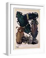 Insects, Plate 4-null-Framed Giclee Print