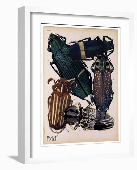 Insects, Plate 4-null-Framed Giclee Print