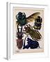 Insects, Plate 7-null-Framed Giclee Print