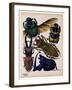 Insects, Plate 7-null-Framed Giclee Print