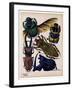 Insects, Plate 7-null-Framed Giclee Print