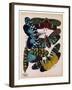 Insects, Plate 8-null-Framed Giclee Print