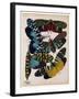 Insects, Plate 8-null-Framed Giclee Print