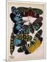 Insects, Plate 8-null-Mounted Giclee Print