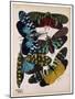 Insects, Plate 8-null-Mounted Giclee Print