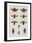 Insects, Seba's Thesaurus, 1734-Science Source-Framed Giclee Print