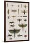 Insects, Seba's Thesaurus, 1734-Science Source-Framed Giclee Print