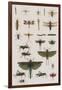 Insects, Seba's Thesaurus, 1734-Science Source-Framed Giclee Print