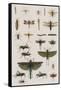 Insects, Seba's Thesaurus, 1734-Science Source-Framed Stretched Canvas