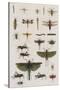 Insects, Seba's Thesaurus, 1734-Science Source-Stretched Canvas