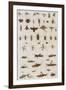 Insects, Seba's Thesaurus, 1734-Science Source-Framed Giclee Print